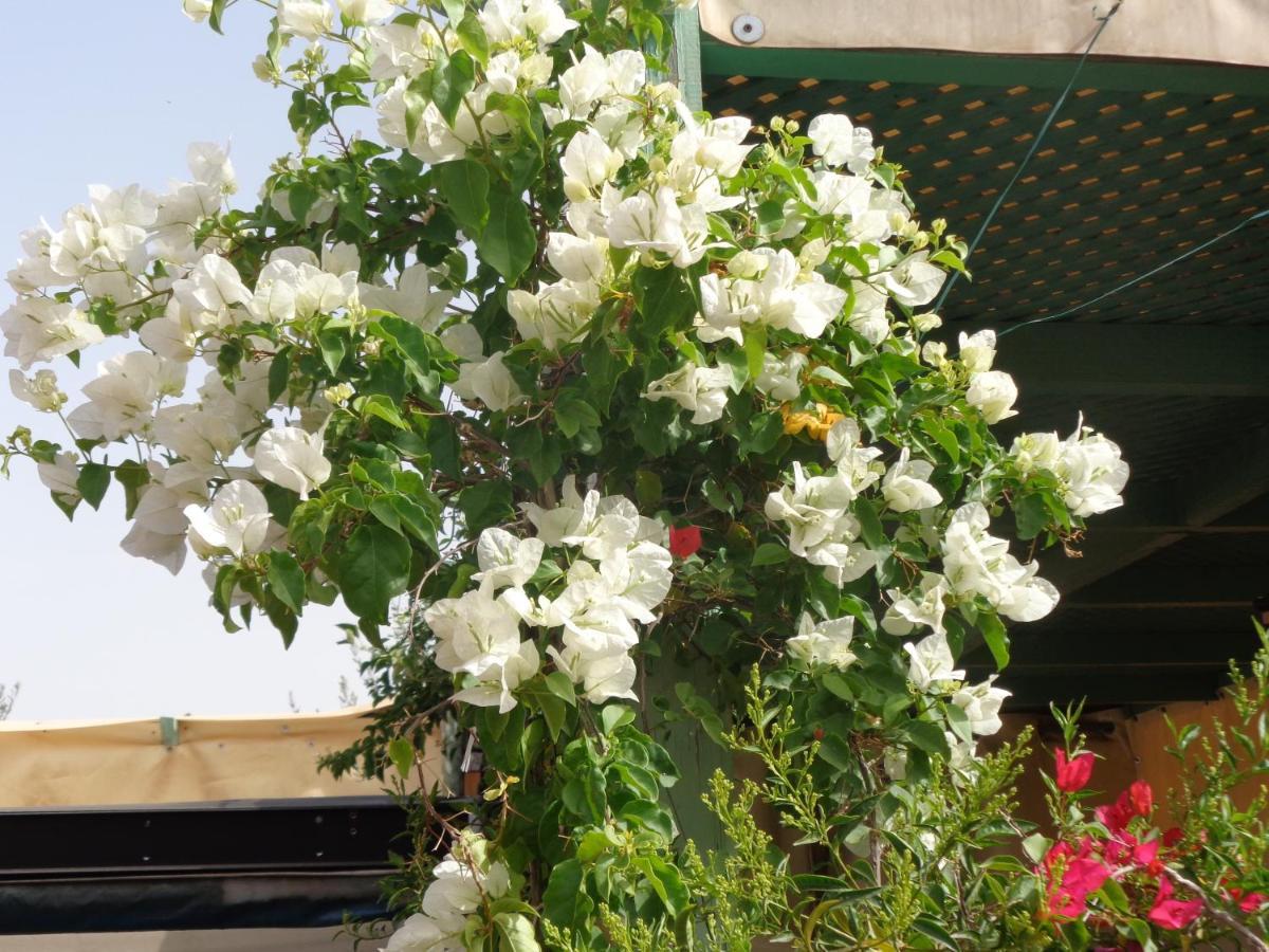Riad Sesame Marrakesz Zewnętrze zdjęcie